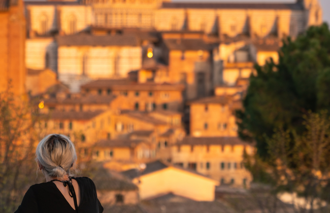 Siena Highlights and Hidden Gems - Private Tour with a Local - Photo 4